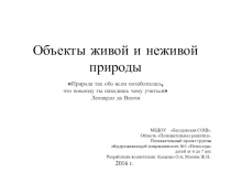 Презентация проекта Объекты живой и неживой природы