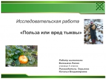 Презентация к исследовательской работе Польза или вред тыквы