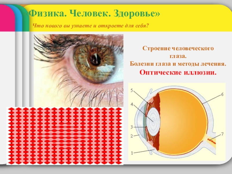 Физика человека. Физика человека презентация. Заболевание глаз физика.