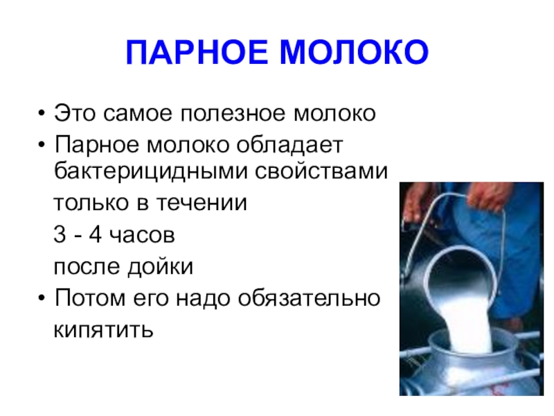 Безопасное употребление парного молока. Молоко. Парное молоко чем полезно. Парное молоко польза. Полезное молоко.