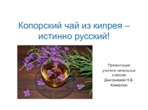 Презентация Копорский чай из кипрея - истинно русский