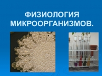 Презентация Физиология микробной клетки