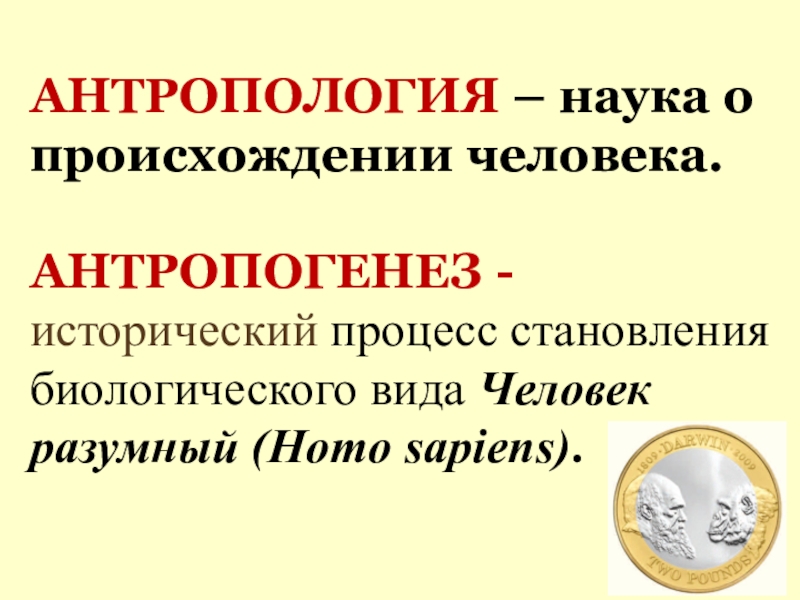 История науки антропологии. Антропология это наука. Антропология наука о человеке. Антропология наука о человеке презентация 11 класс.