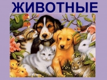 Презентация по биологии на тему Животные (5 класс)