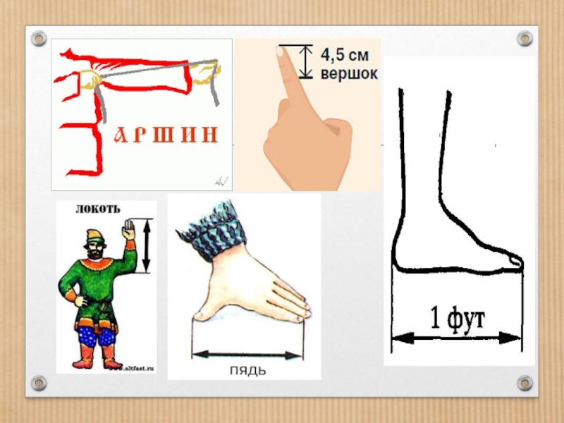 Локоть мера длины картинка