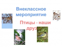 Презентация по природоведению на тему Птицы наши друзья