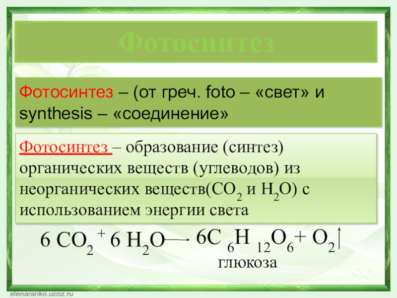 Фотосинтез – (от греч. foto – «cвет» и synthesis – «соединение» 6 СО2 + 6 Н2Оглюкоза6С 6Н