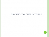 Презентация по биологии высшие споровые растения