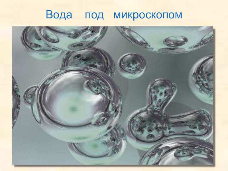 Вода микроскоп. Вода под микроскопом. Питьевая вода под микроскопом. Дистиллированная вода под микроскопом. Пресная вода под микроскопом.