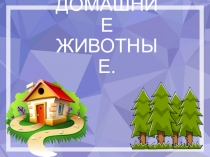 Дикие и домашние животные