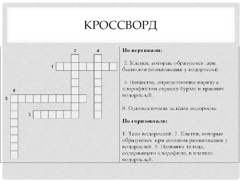 Н кроссворд