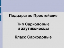 Презентация по биологии Класс Саркодовые