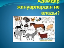 Жаратылыстану пәніненАдамдар жануарлардан не алады?  тақырыбына презентация (1 сынып)