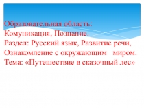Презентация к ОУД по русскому языку во вторймладшей группе с казахским языком обучения Путешествие в сказочный лес