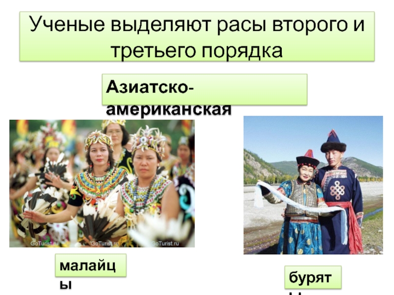 расы человека таблица 8 класс биология. представители разных рас. расы человека презентация. европеоидная монголоидная негроидная раса. расы смешанные расы.