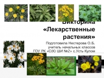 Презентация по окружающему миру Лекарственные травы