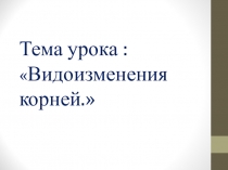 Презентация к уроку Видоизменения корней