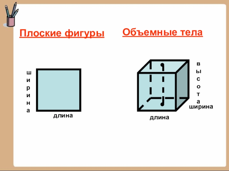 Длина и ширина фигуры. Отличие плоских фигур от объемных. Ширина в объёмной фигуры. Чем отличаются плоские фигуры от объемных. Длина и ширина у объемных фигур.