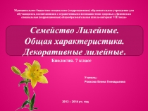 Презентация по биологии на тему Семейство Лилейные
