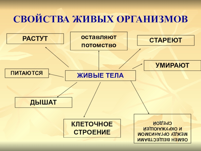 Ученик выполнял проект по биологии какие