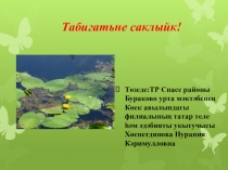 Презентация к уроку по татарскому языку Сохраним природу!