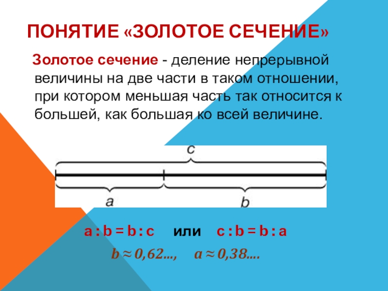 Проект на тему золотое сечение по математике