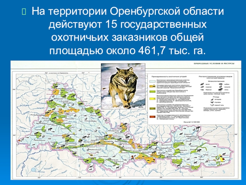 Карта растительности оренбургской области