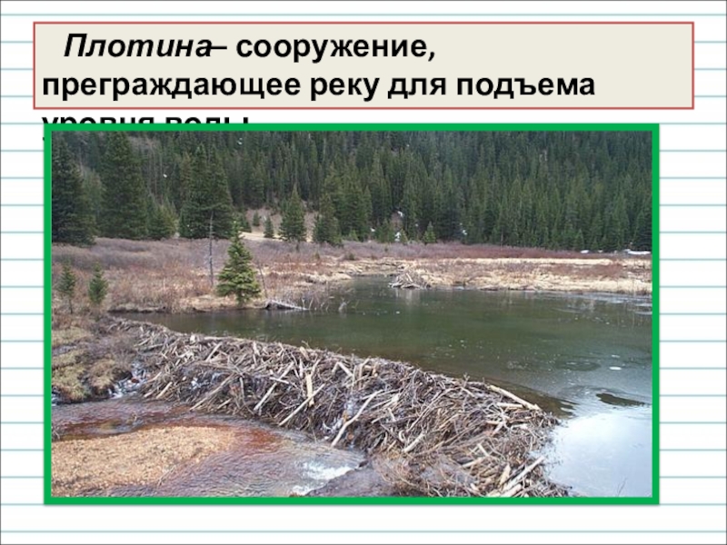 Класс плотины. Преградить реку. Преградить мом приградить. Постройка плотин бобрами какой фактор. Сооружение плотин это отрицание или нет в живой природе.