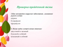 Презентация по ОБЖ Клещевой энцефалит и его профилактика(6 класс)