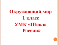 Презентация по окружающему миру на тему Что мы знаем о Москве? 1 класс