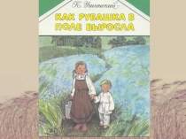 Как рубашка в поле выросла