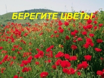 Презентация Берегите цветы. Подснежники