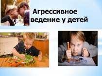 Презентация: Агрессивное поведение у детей