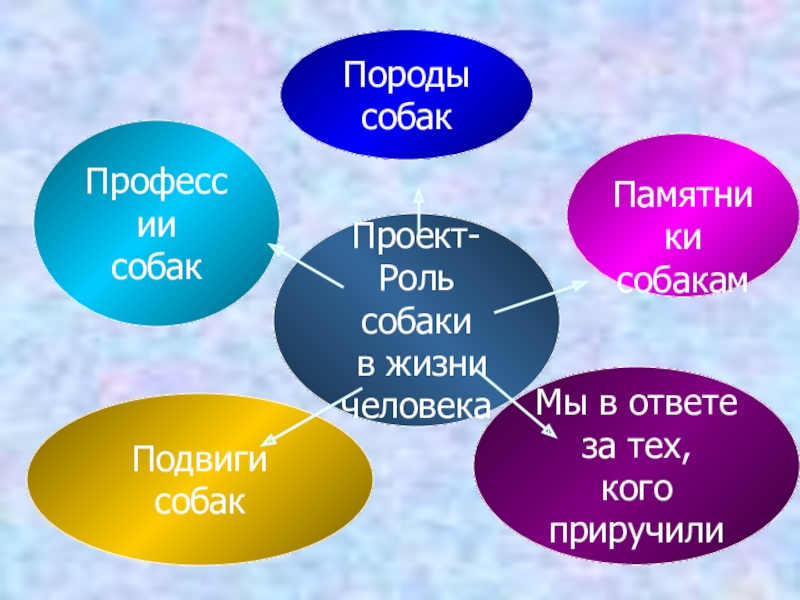 Цвет в жизни человека проект