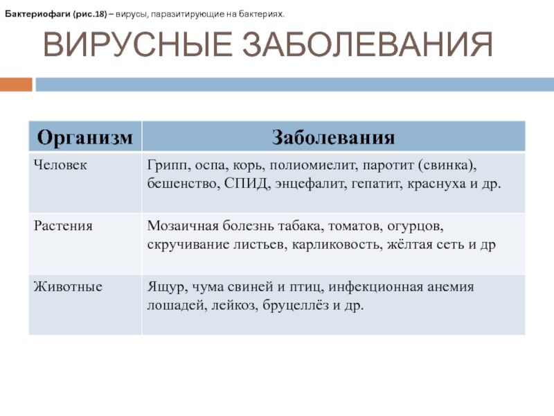 Бактериофаги (рис.18) – вирусы, паразитирующие на бактериях.ВИРУСНЫЕ ЗАБОЛЕВАНИЯ