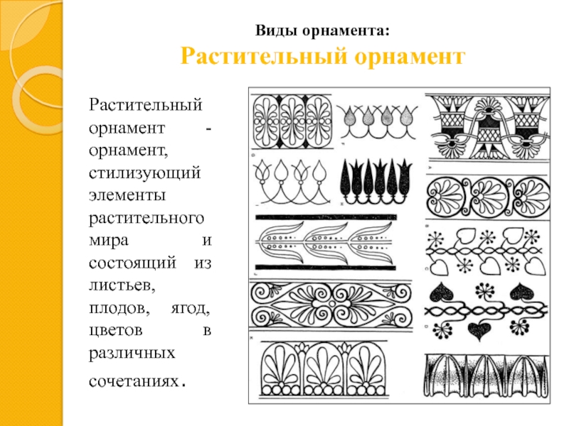 Типы орнаментов. Элементы растительного орнамента. Виды орнамента растительный. Растительный орнамент состоит из.