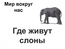 Презентация по окружающему миру Где живут слоны (1 класс)