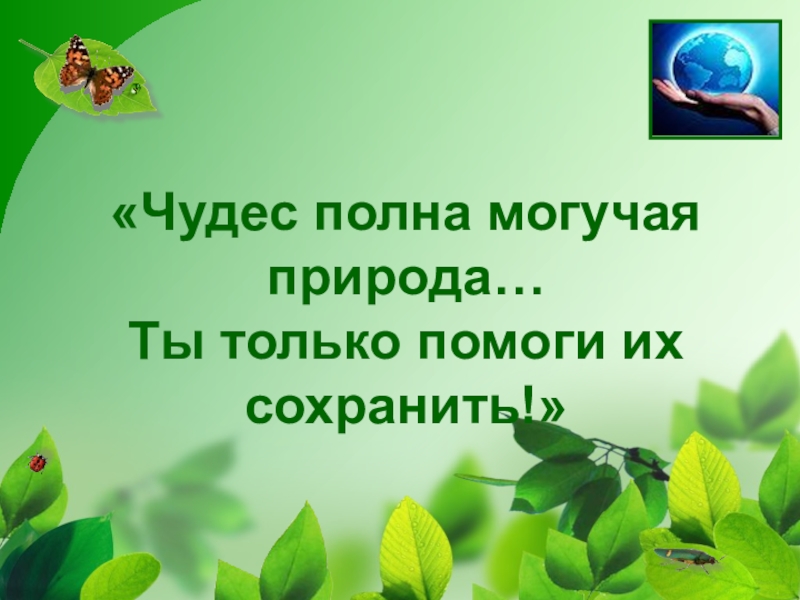 Презентация могучая природа