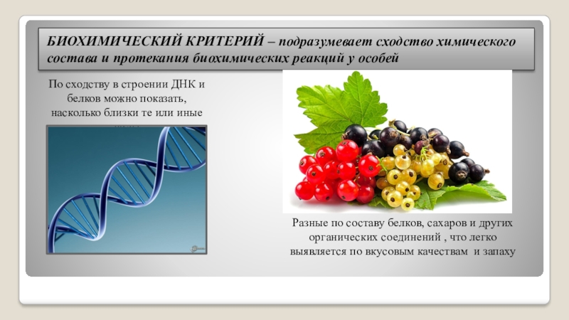 Морфологические физиологические биохимические. Биохимический вид примеры. Биохимический критерий примеры. Физиологический и биохимический критерии.