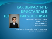Презентация по окружающему миру на тему:Как вырастить кристаллы в домашних условиях