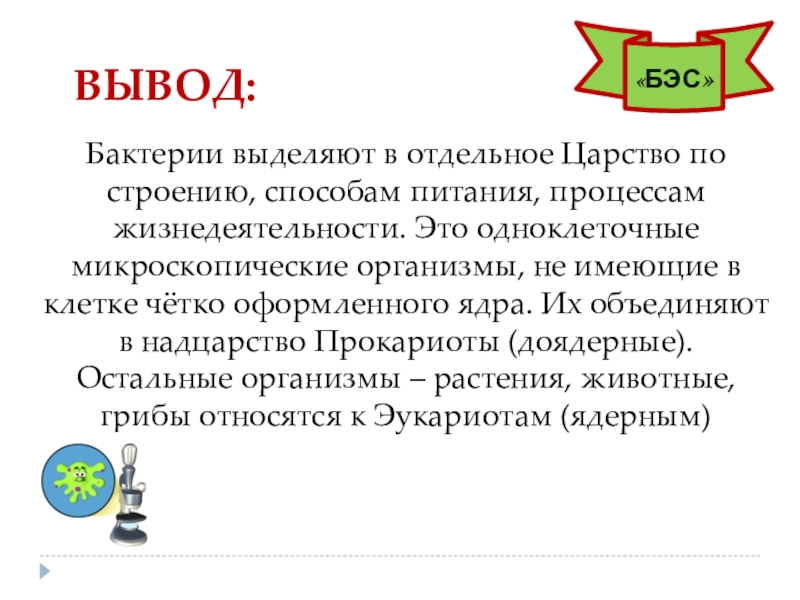 царство животные признаки. признаки растений и животных у грибов. почему грибы выделяют в отдельное царство. царство животных растений грибов бактерий. грибы выделяют в отдельное царство живой природы.