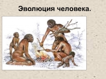 Презентация по биологии на тему Эволюция человека 8 класс