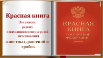 Презентация по окружающему миру Красная книга.