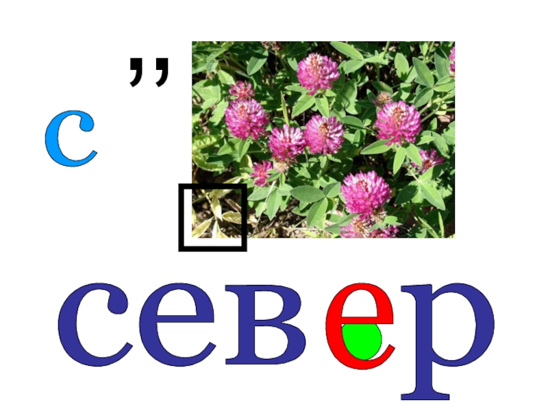 Ребусы 3 класс. Словарное слово Север. Ребус Север. Словарное слово Север в картинках. Ребус к слову Север.