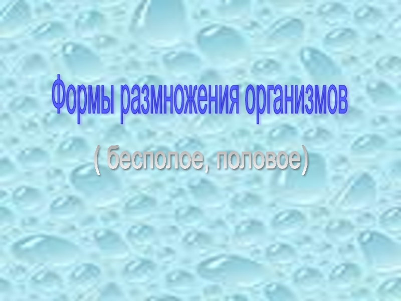 Половое размножение презентация 10 класс