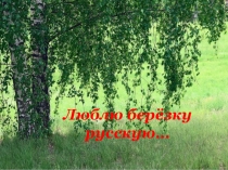 Презентация Люблю березку русскую