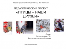 Презентация педагогического проекта Птицы -наши друзья
