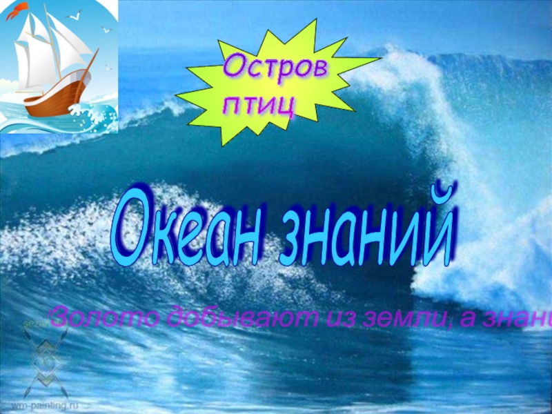 Океан знаний результаты