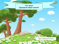 Презентация для классного часа Здоровый образ жизни