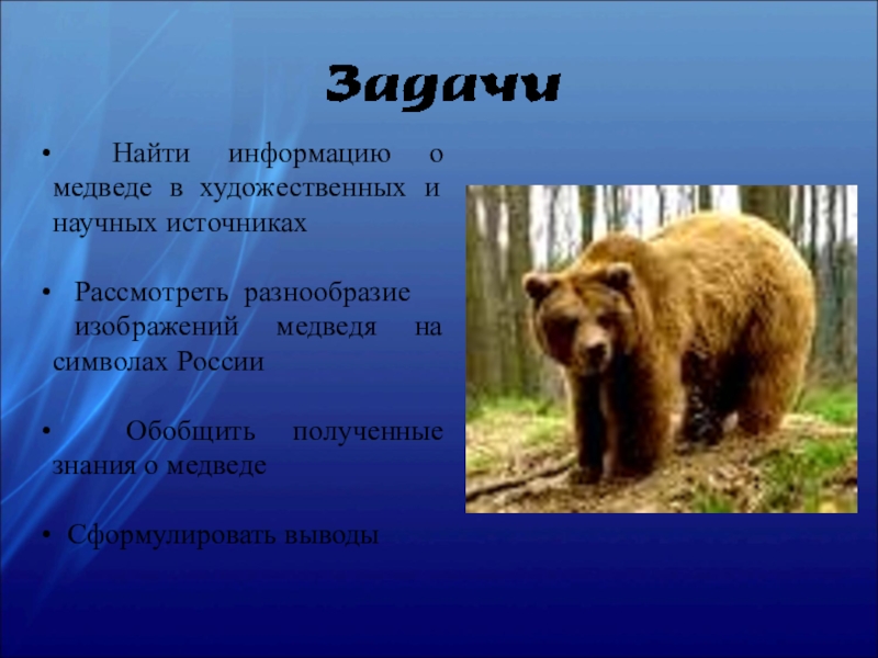 Что символизирует медведь. Бурый медведь символ России. Медведь символ России презентация. Исследовательская работа про медведей. День медведя в России презентация.